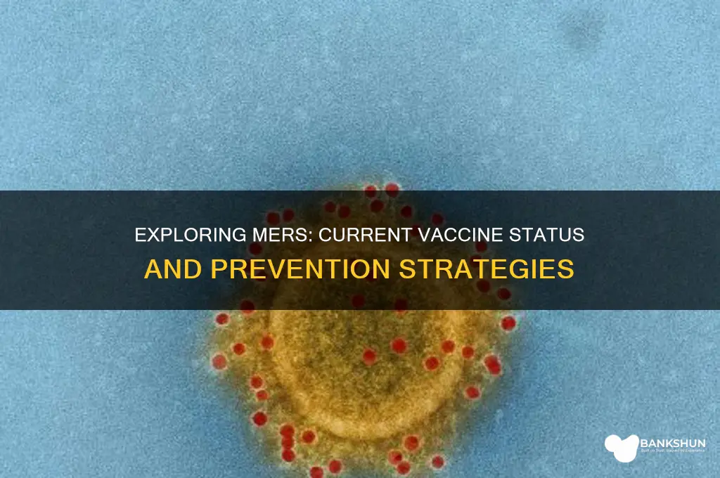 is there a vaccine for mers virus