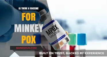 Monkeypox Vaccine: Availability, Effectiveness, and What You Need to Know