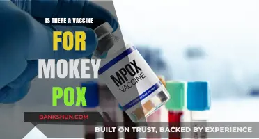 Monkeypox Vaccine: Availability, Effectiveness, and What You Need to Know