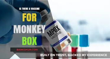 Monkeypox Vaccine: Availability, Effectiveness, and What You Need to Know