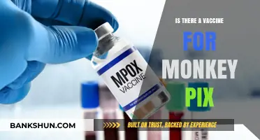 Monkeypox Vaccine: Availability, Effectiveness, and What You Need to Know