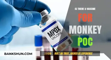 Monkeypox Vaccine: Availability, Effectiveness, and What You Need to Know