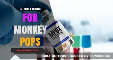Monkey Pox Vaccine: Availability, Effectiveness, and What You Need to Know