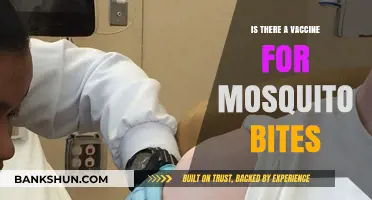 Mosquito Bites: Exploring the Possibility of a Protective Vaccine