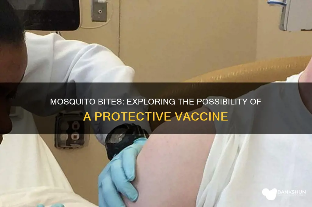 is there a vaccine for mosquito bites
