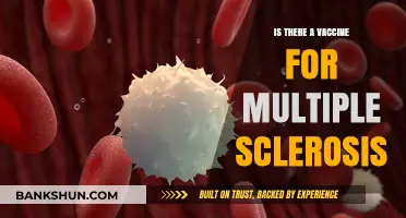 Exploring the Possibility: Is There a Vaccine for Multiple Sclerosis?
