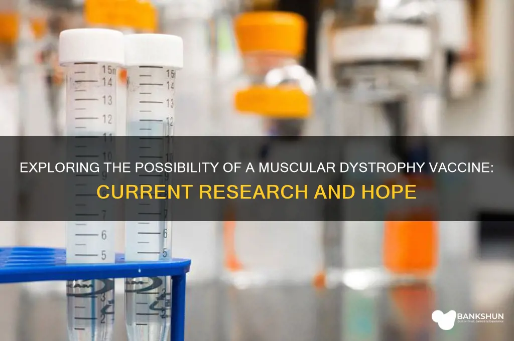 is there a vaccine for muscular dystrophy