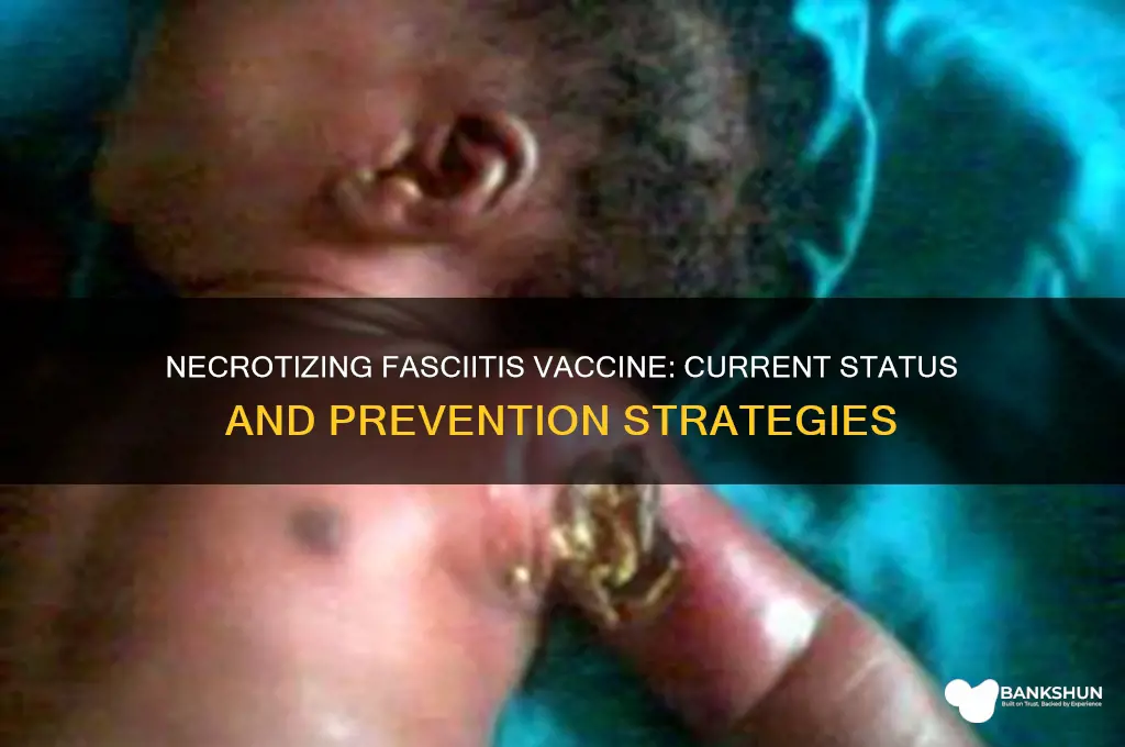 is there a vaccine for necrotizing fasciitis