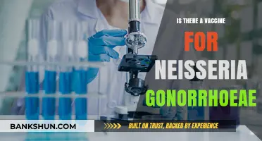 Neisseria Gonorrhoeae Vaccine: Current Research and Future Prospects
