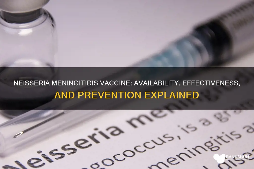 is there a vaccine for neisseria meningitidis