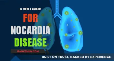 Exploring Nocardiosis: Vaccine Availability and Prevention Strategies Revealed