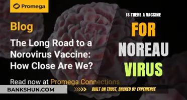 Norovirus Vaccine: Current Status and Future Prospects Explained