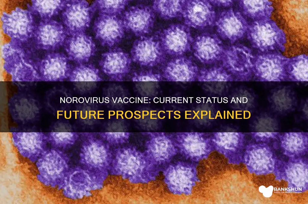 is there a vaccine for noreau virus