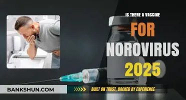 Norovirus Vaccine 2025: Latest Developments and Availability Updates