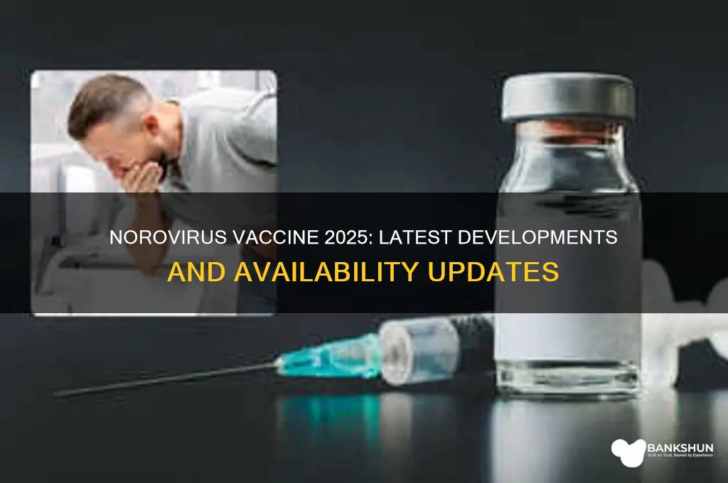 is there a vaccine for norovirus 2025