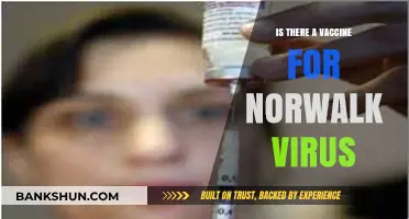 Norwalk Virus: Current Vaccine Status and Prevention Strategies Explained