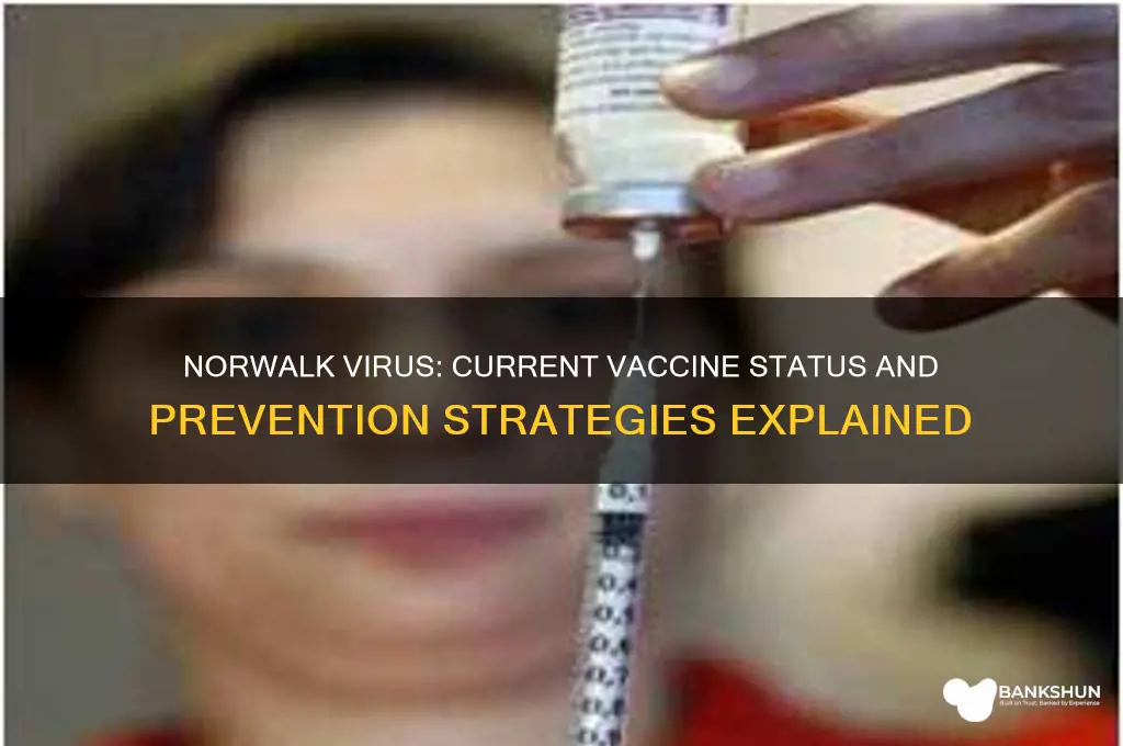 is there a vaccine for norwalk virus