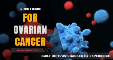 Exploring Ovarian Cancer Vaccines: Current Research and Future Possibilities
