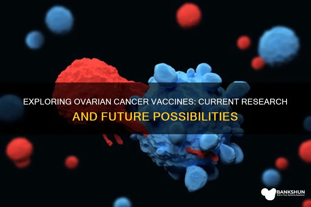 is there a vaccine for ovarian cancer