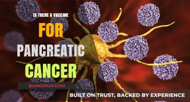Exploring the Latest Advances: Is There a Pancreatic Cancer Vaccine?