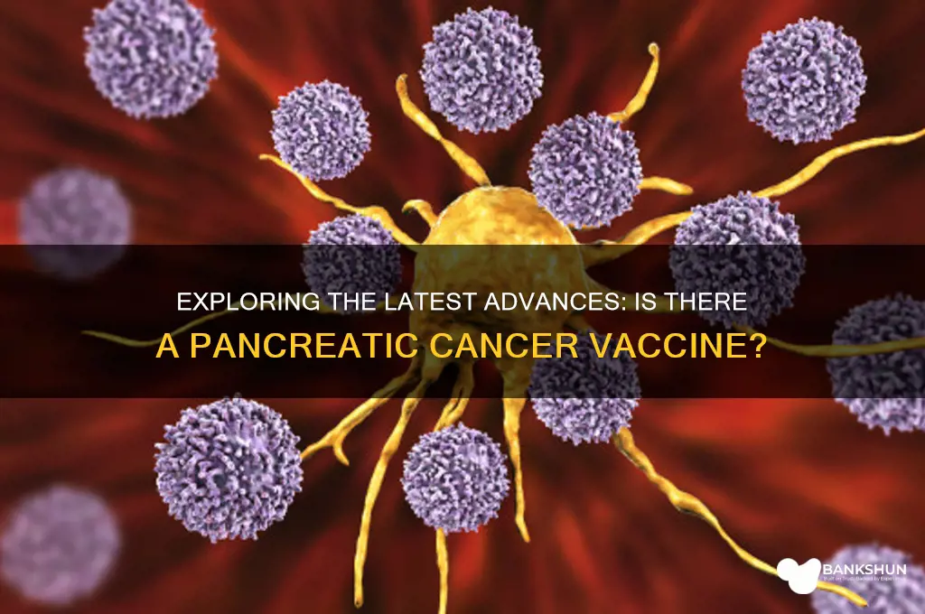 is there a vaccine for pancreatic cancer