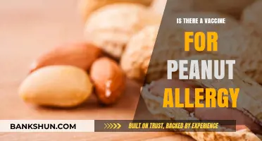 Exploring Peanut Allergy Vaccines: Current Research and Future Possibilities