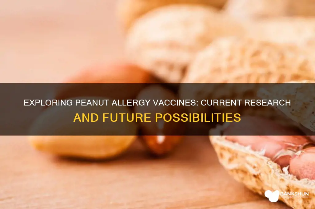 is there a vaccine for peanut allergy