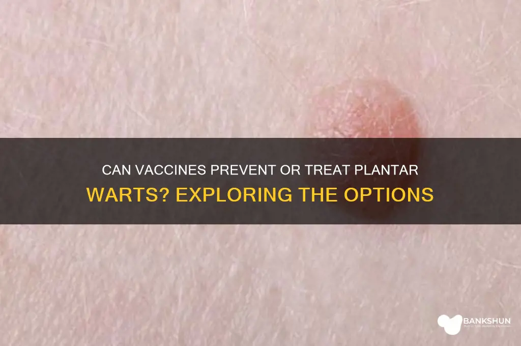 is there a vaccine for plantar warts