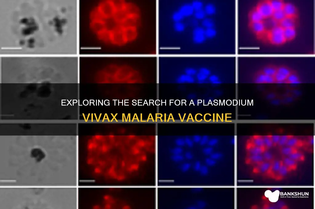 is there a vaccine for plasmodium vivax