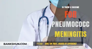 Pneumococcal Meningitis Vaccine: Availability, Effectiveness, and Prevention Explained