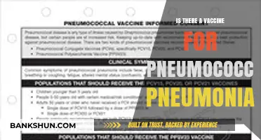 Pneumococcal Pneumonia Vaccine: Availability, Effectiveness, and Prevention Explained