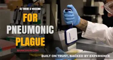 Pneumonic Plague Vaccine: Current Status and Prevention Strategies Explained
