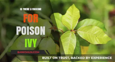 Can a Vaccine Protect Against Poison Ivy's Itchy Rash?