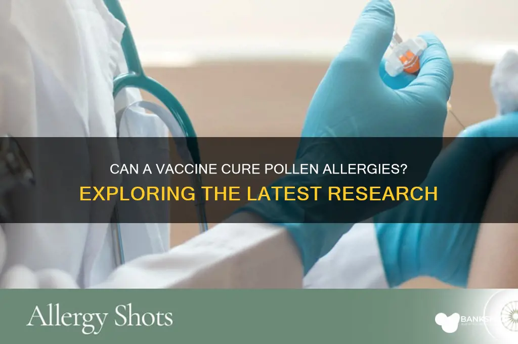 is there a vaccine for pollen allergy
