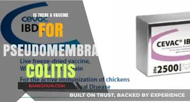 Exploring Vaccine Options for Pseudomembranous Colitis: What You Need to Know