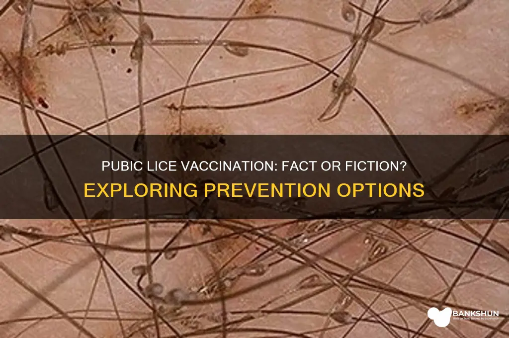 is there a vaccine for pubic lice