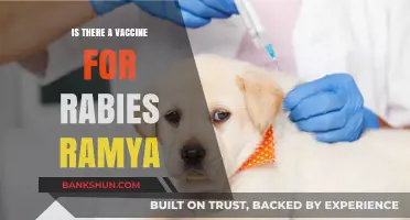 Rabies Vaccine: Facts, Availability, and Ramya's Inquiry Explained
