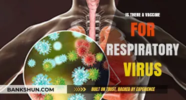Exploring Respiratory Virus Vaccines: Current Options and Future Developments