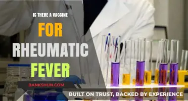 Exploring the Possibility of a Rheumatic Fever Vaccine: What We Know