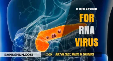 Exploring RNA Virus Vaccines: Current Developments and Future Prospects