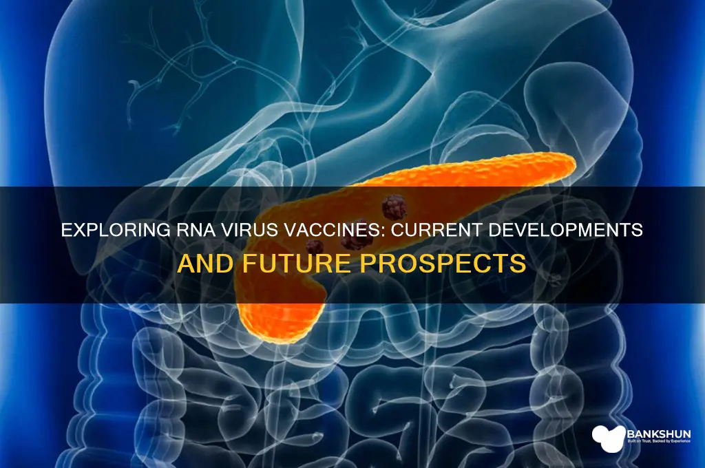 is there a vaccine for rna virus