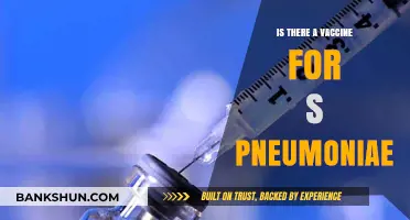 Exploring the Availability of a Vaccine for S. Pneumoniae