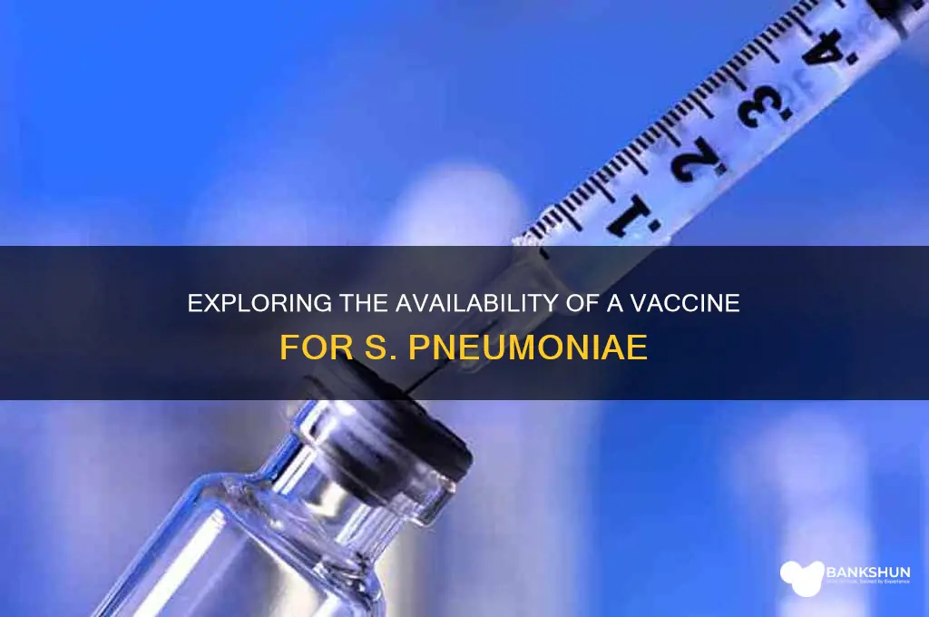 is there a vaccine for s pneumoniae