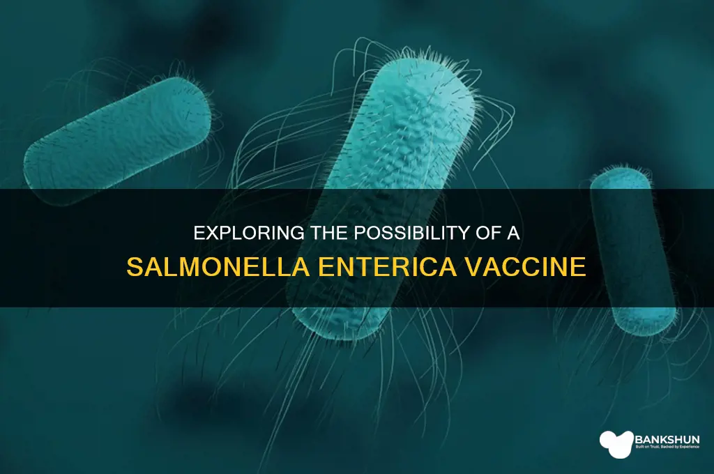 is there a vaccine for salmonella enterica