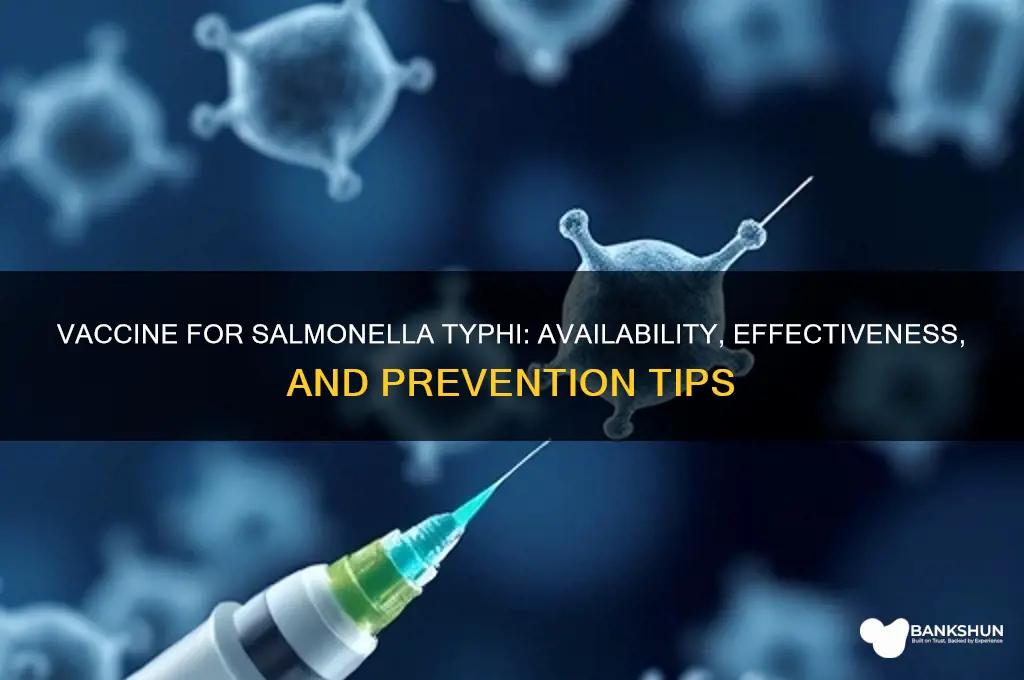 is there a vaccine for salmonella typhi