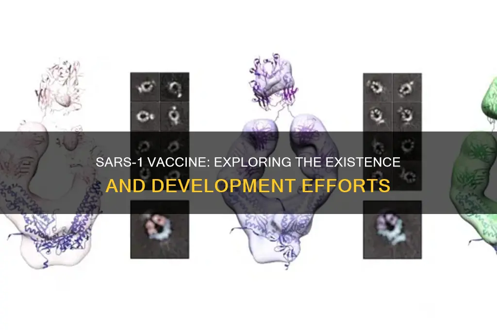 is there a vaccine for sars 1