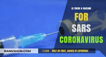 SARS Coronavirus Vaccine: Current Status and Future Prospects Explained