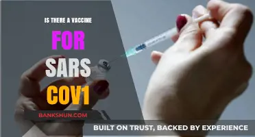 SARS-CoV-1 Vaccine: Development, Effectiveness, and Current Status Explained