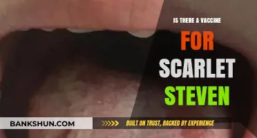 Scarlet Steven Vaccine: Current Research and Prevention Methods Explained