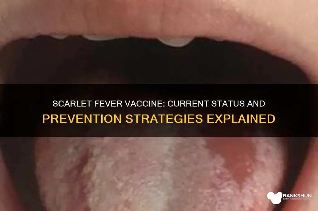 is there a vaccine for scarlett fever